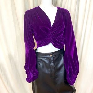 Beautiful Zara Voluminous Sleeve Velvet Top!